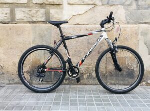 Orbea montaña