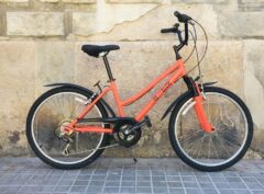 Bicicleta Rebiciclem_BANDA
