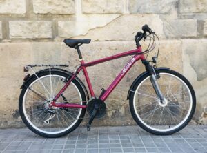 Bicicleta Rebiciclem_PAX